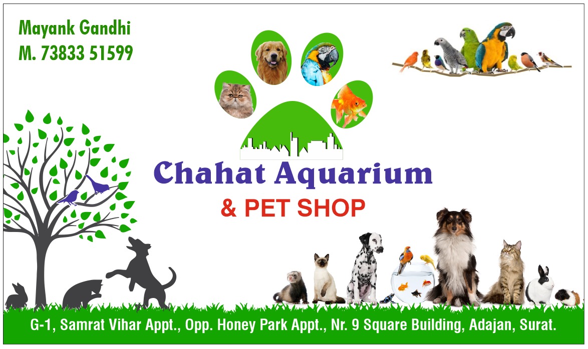 Chahat Aquarium And  Pet Shop