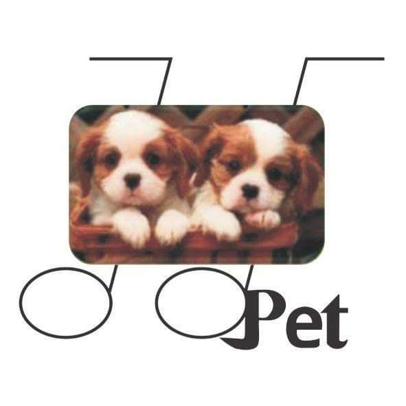 J.J. Pet Shop