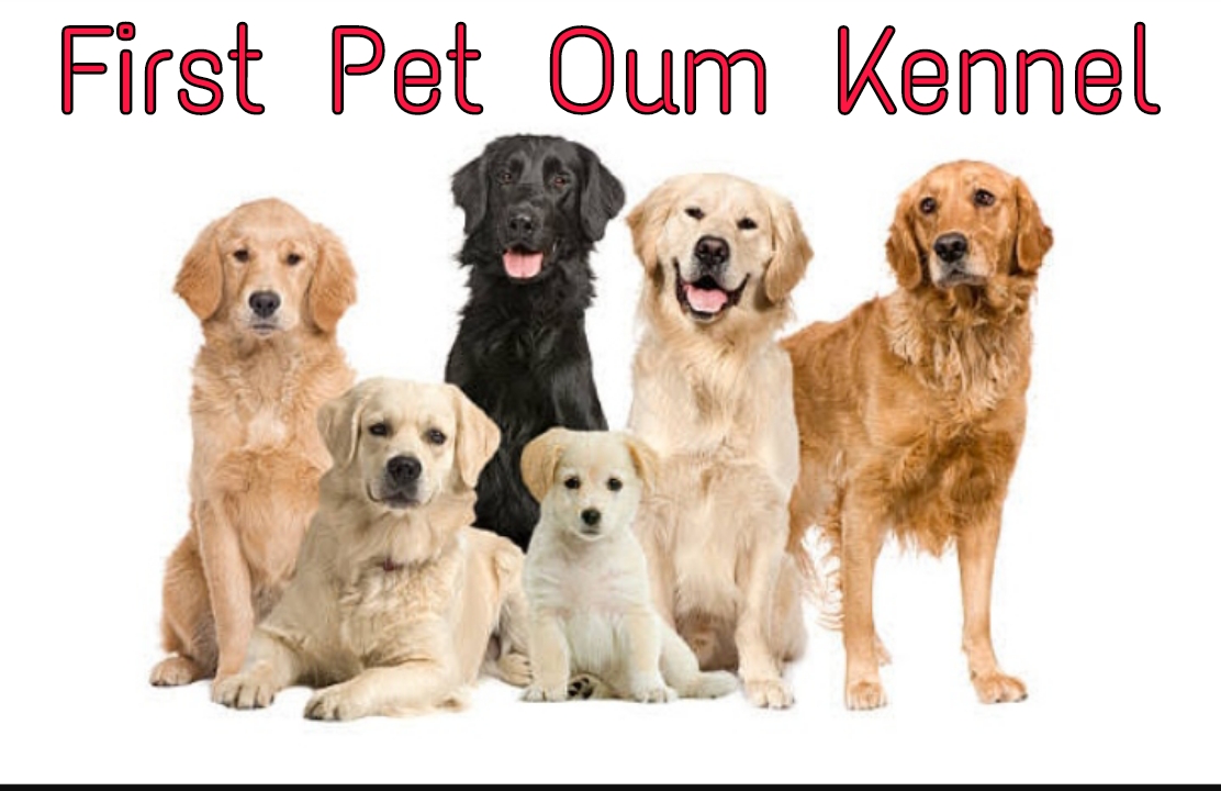 First Pet Oum Kennel