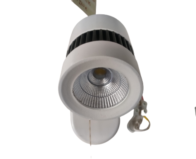 Jupiter LED Picture Light 6W (J060/6) Two Years Warranty