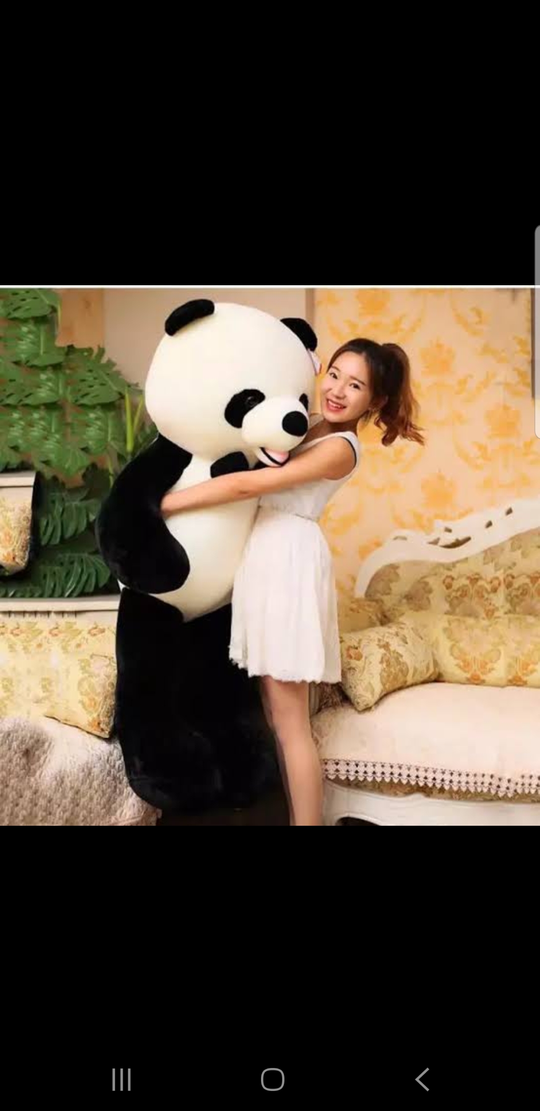 Big size Panda 